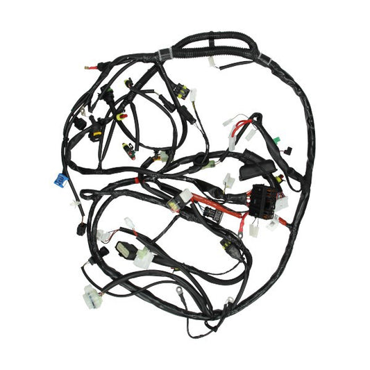 Kabelboom Piaggio Origineel (Halogeen) Primavera 4T [EURO4], Sprint 4T (EURO4) 1D002339