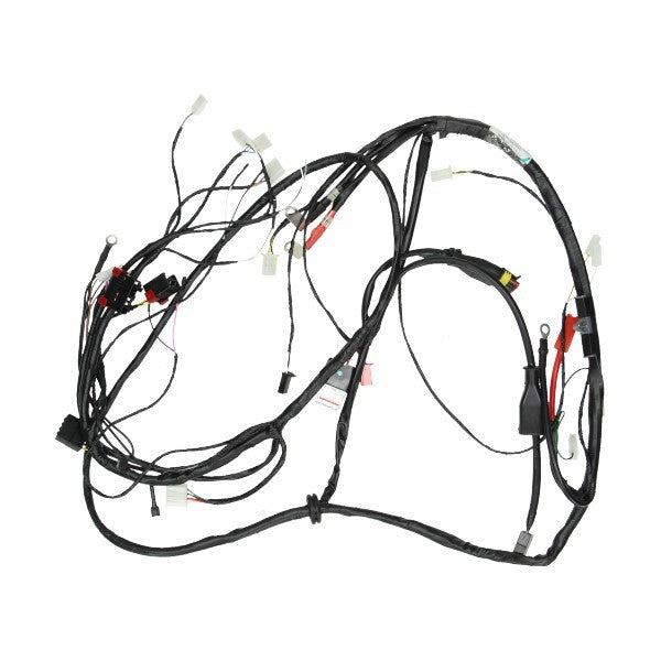 Kabelboom Piaggio Origineel EURO-2 2v 2006-2016 Zip 4T 584542