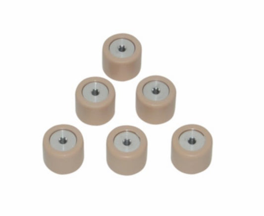 Variorolset Piaggio Origineel 19X15.5MM 7, 5 Gram Fly 2T, Lx 2T, Lxv 2T, Nrg, Runner, Typhoon, Vespa S 2T, ZIP2000 CM1102015