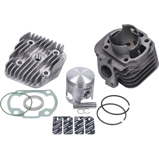 Cilinder met Kop Malossi 47mm Minarelli Hor Ac 317083