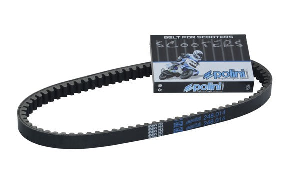 V-snaar Polini 768X17.5 Buxy, Speedake, Speedfight, Viva 248.014