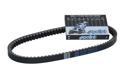 V-snaar Polini 768X17.5 Buxy, Speedake, Speedfight, Viva 248.014