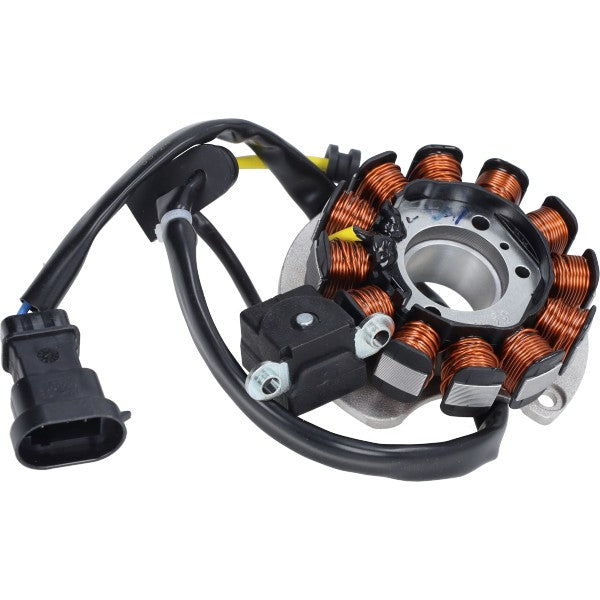 Ontsteking Derbi Origineel EURO-4 RS50 EURO4, Rx-sx 50, Senda 1A008838