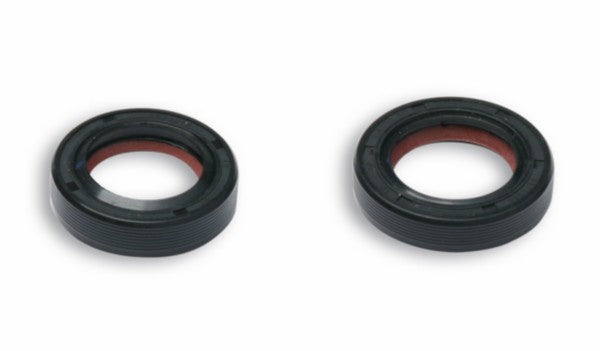 Keerringset Malossi Krukas FKM/PTFE Sco Piaggio 2T 6618157