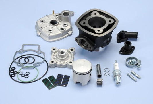 Cilinder met Kop Polini Racing 47mm Sco Piaggio Lc 140.0183R