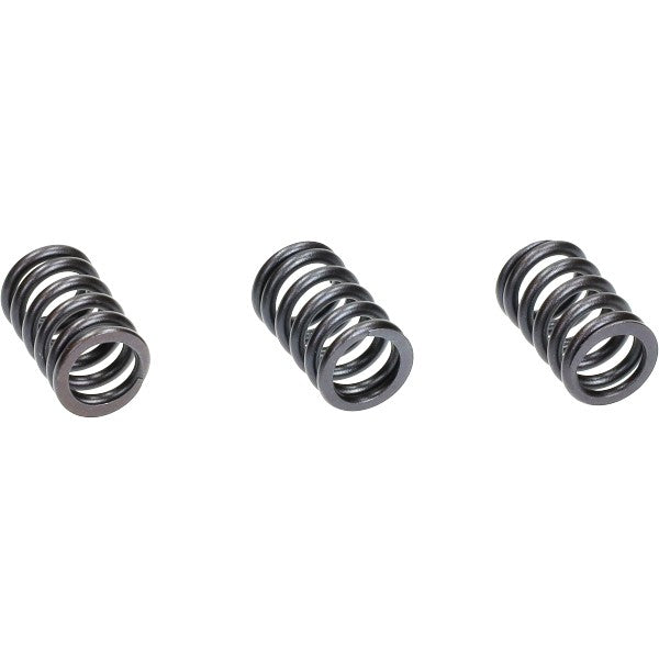 Klepveer Polini Set 3 Stuks Liberty IGET, Primavera 4T-3V, Sprint 4T-3V, Zip 4T 3v 228.0133
