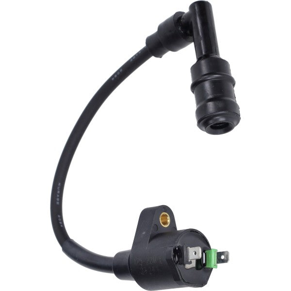 Bobine Kokusan + Bougiedop EURO-4 Sco Piaggio 4T CM271704