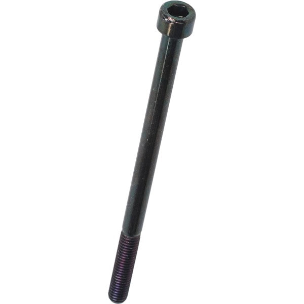Bout Piaggio Origineel Inbus M6X100MM 478171