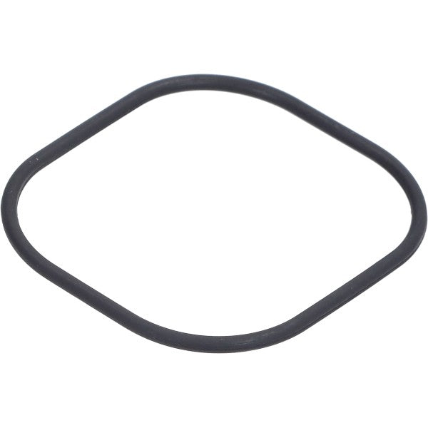 O-ring Piaggio Origineel M19 Piaggio, Vespa 1A003985