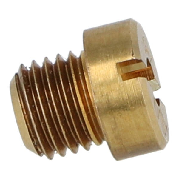 Sproeier Dellorto Groot 6mm 104