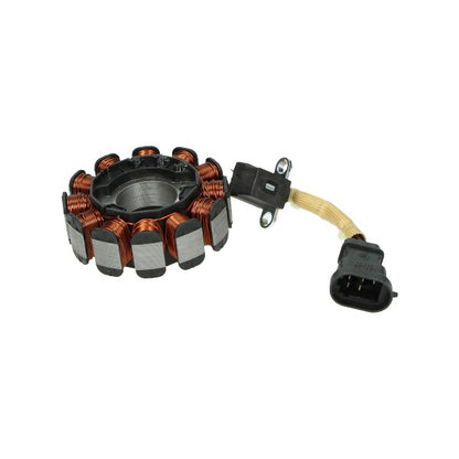 Ontsteking / Stator ELEC Piaggio 4T 3V i-get Euro-4 12-Polig – Zip/Primavera/Sprint/Liberty