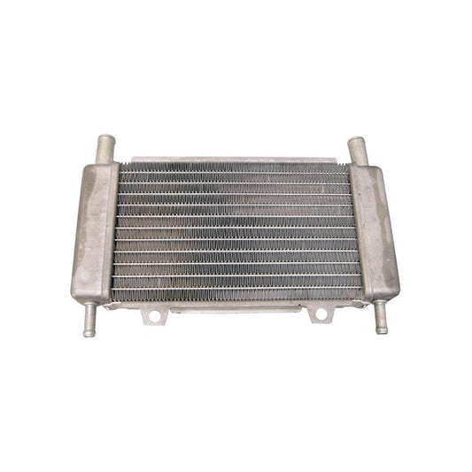 Radiateur Gilera Runner/Piaggio Zip 2000SP DMP